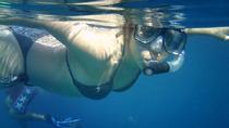 Recorrido de buceo por Los Cabos hacia la bahía Chileno y la cala Santa María Recorrido de buceo por Los Cabos hacia la bahía Chileno y la cala Santa María