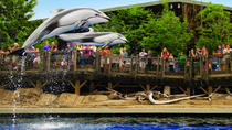 優先入場: バンクーバー水族館 優先入場: バンクーバー水族館