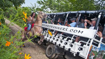 Excursión con safari en el campo de la República Dominicana desde Punta Cana Excursión con safari en el campo de la República Dominicana desde Punta Cana