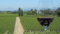 Recorrido para grupos pequeños por la región de los vinos y sus cosechas Recorrido para grupos pequeños por la región de los vinos y sus cosechas
