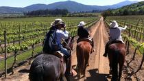 Tour del vino y paseo a caballo por Casablanca desde Santiago Tour del vino y paseo a caballo por Casablanca desde Santiago