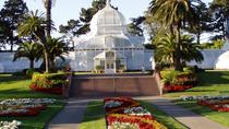 Excursão ao Litoral: City tour de meio dia na Grande San Francisco, São Francisco