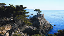 Viagem diurna a Monterey e Carmel pela Costa da Califórnia, São Francisco