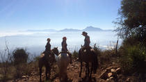 Escapada para montar a caballo de 8 días desde Valparaíso Escapada para montar a caballo de 8 días desde Valparaíso