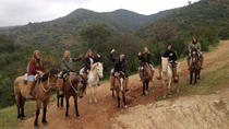 Viaje de un día para montar a caballo y hacienda con almuerzo desde Valparaíso Viaje de un día para montar a caballo y hacienda con almuerzo desde Valparaíso