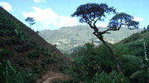 Excursión privada: Experiencia relacionada con el café y taller Excursión privada: Experiencia relacionada con el café y taller