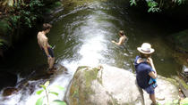 Tour privado: Experiencia en la naturaleza desde Medellín Tour privado: Experiencia en la naturaleza desde Medellín