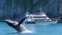 Crucero de día completo por el Parque Nacional de los Fiordos de Kenai Crucero de día completo por el Parque Nacional de los Fiordos de Kenai