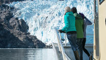 Ganztägige Kenai-Fjorde Nationalpark-Abenteuer-Bootstour Ganztägige Kenai-Fjorde Nationalpark-Abenteuer-Bootstour