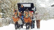 Winterliche Pferdekutschfahrt Winterliche Pferdekutschfahrt