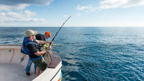 Pesca en Lanzarote Pesca en Lanzarote