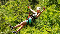 Essentieel Costa Rica: 8-daagse tour Essentieel Costa Rica: 8-daagse tour