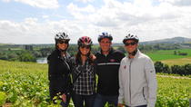 Tour en bicicleta por la región de Champagne desde París Tour en bicicleta por la región de Champagne desde París