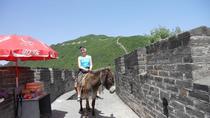 Viagem particular de um dia para a Grande Muralha de Mutianyu e o Palácio de Verão, com almoço e taxas de entrada Viagem particular de um dia para a Grande Muralha de Mutianyu e o Palácio de Verão, com almoço e taxas de entrada