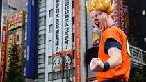 Experiência Otaku: excursão Akihabara completa Experiência Otaku: excursão Akihabara completa