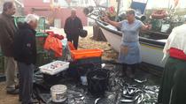 La meilleure expérience de poissons de Porto La meilleure expérience de poissons de Porto