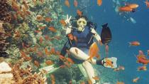 Duiktrip in Hurghada met 2 duiklocaties Duiktrip in Hurghada met 2 duiklocaties