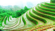 Private Guilin-Tagestour: Longji-Reisterrassen in Longsheng Private Guilin-Tagestour: Longji-Reisterrassen in Longsheng