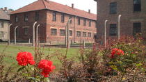 Privétour van het Auschwitz-Birkenau Museum vanuit Krakau Privétour van het Auschwitz-Birkenau Museum vanuit Krakau