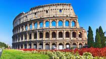 Excursão particular: Coliseu, Fórum Imperial e Monte Palatino, Roma