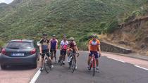 Excursion à vélo dédiée au café à Santiago del Teide Excursion à vélo dédiée au café à Santiago del Teide