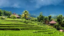 Trektocht naar de rijstvelden van Ubud Trektocht naar de rijstvelden van Ubud