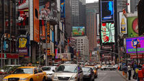 Tour per metro en bus door New York met privégids Tour per metro en bus door New York met privégids