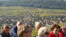 Excursion privée : une journée dans les villages d'Alsace avec dégustation de vin au départ de Colmar Excursion privée : une journée dans les villages d'Alsace avec dégustation de vin au départ de Colmar