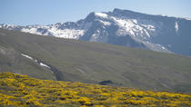 Excursão de safári de Sierra Nevada por 4WD em Granada, Granada