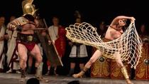 LE COMBAT DES GLADIATEURS LE COMBAT DES GLADIATEURS