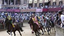Cata de vinos y almuerzo en la Toscana: Visita privada a Siena y San Gimignano Cata de vinos y almuerzo en la Toscana: Visita privada a Siena y San Gimignano