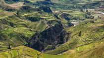 Excursión de 2 días al Cañón de Colca desde Arequipa Excursión de 2 días al Cañón de Colca desde Arequipa