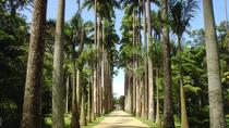 Excursão pelo Jardim Botânico, Rio de Janeiro