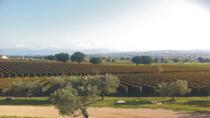 Experiência de excursão vinícola privada na Toscana saindo de Florença Experiência de excursão vinícola privada na Toscana saindo de Florença