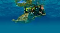 Excursion privée : plongée avec masque et tuba tortue marine à Akumal et aventure cenote Excursion privée : plongée avec masque et tuba tortue marine à Akumal et aventure cenote