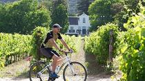 Privéfietstocht door Constantia Winelands Privéfietstocht door Constantia Winelands