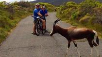 Privétour op de fiets over het Kaapse schiereiland vanuit Kaapstad Privétour op de fiets over het Kaapse schiereiland vanuit Kaapstad