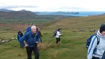 Excursão diurna a Dingle e Slea Head saindo de Killarney Excursão diurna a Dingle e Slea Head saindo de Killarney