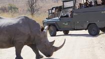Dagtour naar Kruger Park in een open safarivoertuig vanuit Hazyview Dagtour naar Kruger Park in een open safarivoertuig vanuit Hazyview