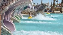 Tour naar Yas Island Water World vanuit Dubai Tour naar Yas Island Water World vanuit Dubai