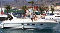 Luxus-Motorbootsfahrt mit Wal- und Delfinbeobachtung Luxus-Motorbootsfahrt mit Wal- und Delfinbeobachtung