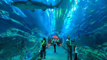 Toegangskaart voor Underwater Zoo, Dubai Aquarium en de ijsbaan Toegangskaart voor Underwater Zoo, Dubai Aquarium en de ijsbaan