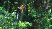 Aventure dans la jungle de 3 heures et tyrolienne au départ de Phuket Aventure dans la jungle de 3 heures et tyrolienne au départ de Phuket