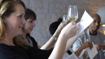 Sesión de cata de vinos en París con un experto sumiller Sesión de cata de vinos en París con un experto sumiller