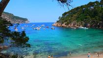 Excursão para grupos pequenos de Girona e Costa Brava com embarque no hotel, Barcelona