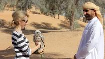 Excursión para grupos pequeños. Falcon 2: Safari de cetrería en Dubái Excursión para grupos pequeños. Falcon 2: Safari de cetrería en Dubái