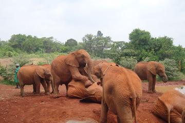 Kenya Outdoor Activities