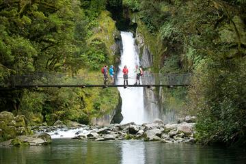 Te Anau Tours, Travel & Activities, South Island, New Zealand