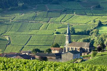 Lyon Wine Tours