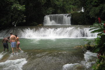 Appleton Rum and YS Falls Tour from Falmouth